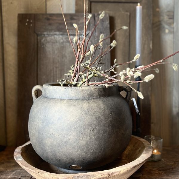 jar two ears grande majestic brown
